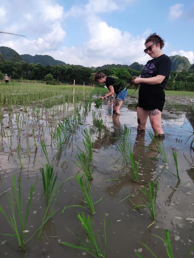 Tam Coc Lotus Flower Homestay Νιν Μπιν Εξωτερικό φωτογραφία