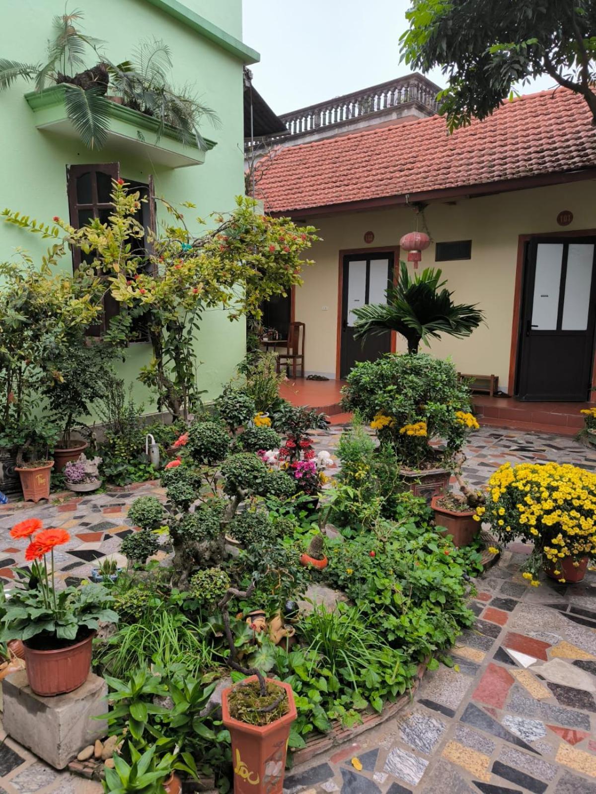 Tam Coc Lotus Flower Homestay Νιν Μπιν Εξωτερικό φωτογραφία