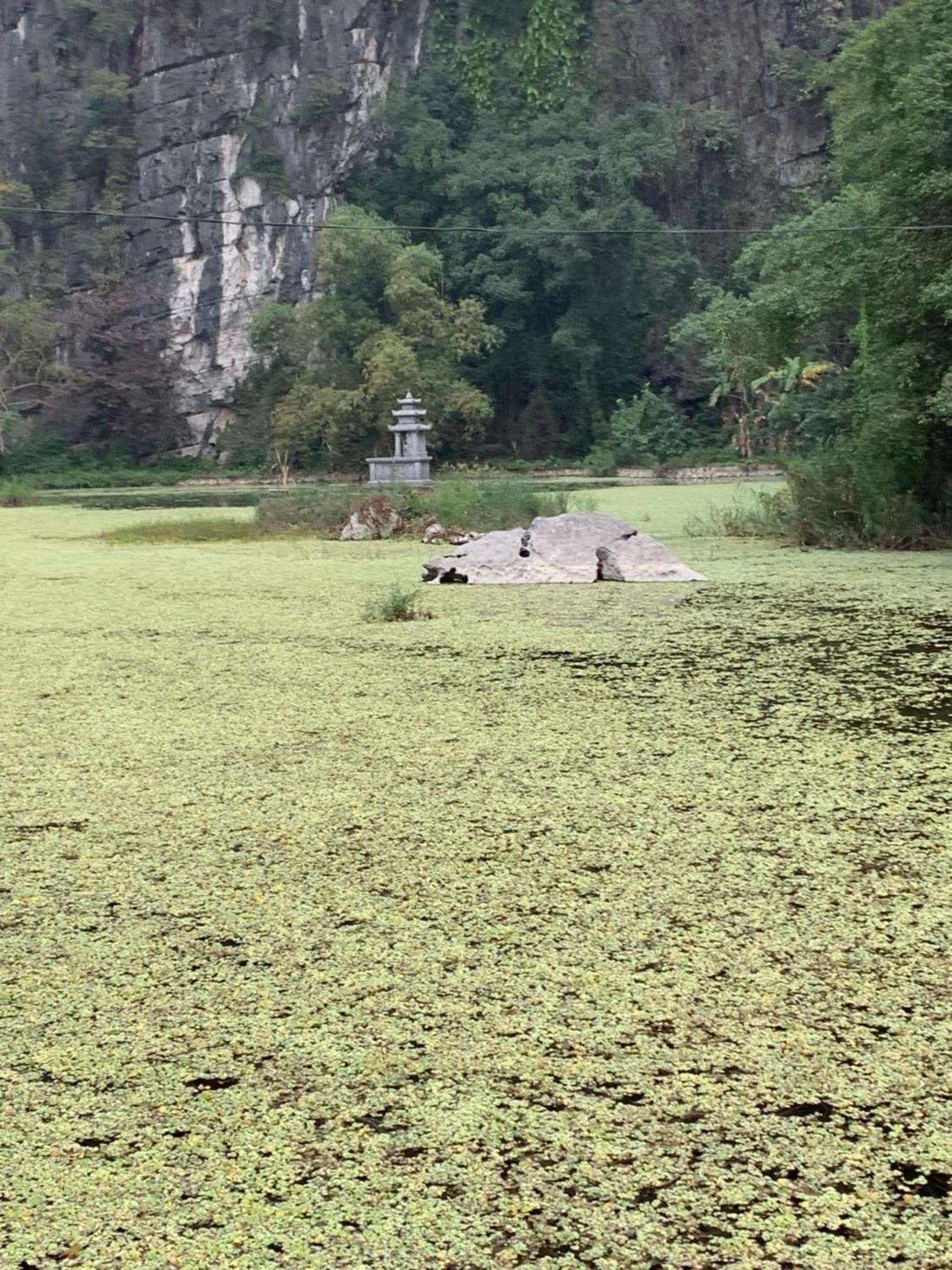 Tam Coc Lotus Flower Homestay Νιν Μπιν Εξωτερικό φωτογραφία