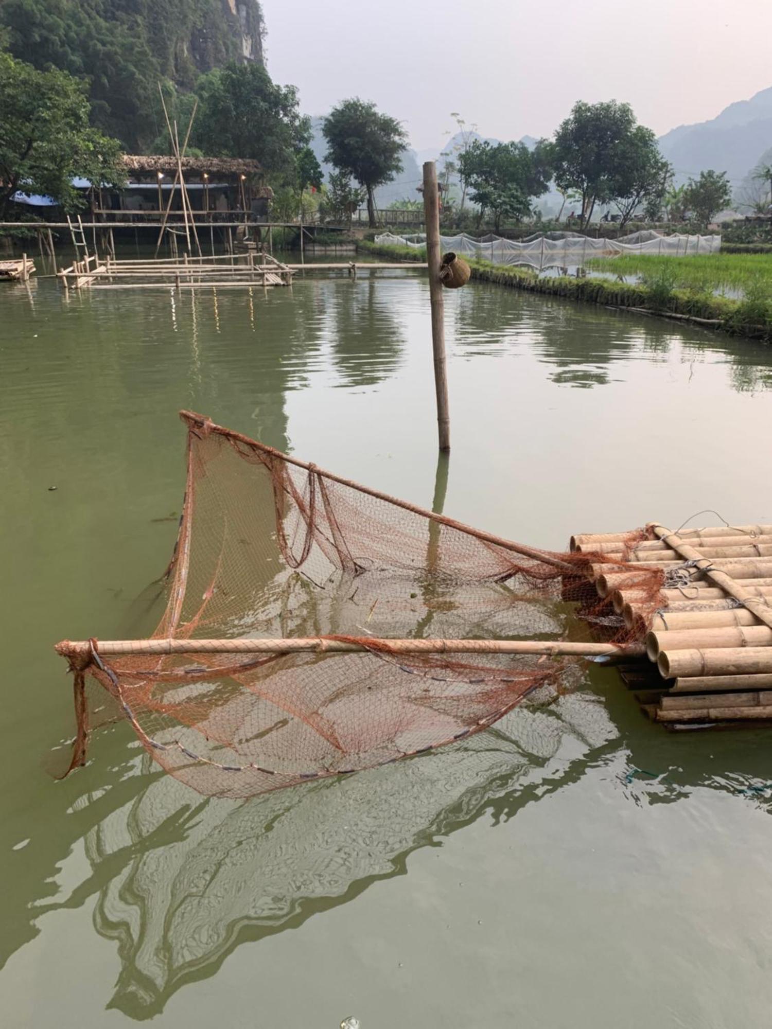 Tam Coc Lotus Flower Homestay Νιν Μπιν Εξωτερικό φωτογραφία